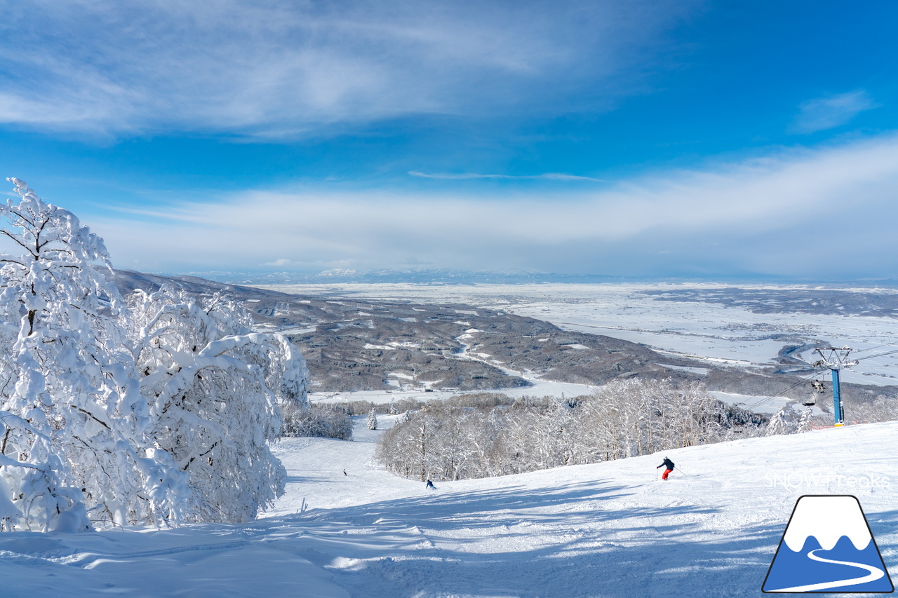 カムイスキーリンクス｜この上ないほど澄んだ青空と極上のパウダースノー。やっぱり『カムイ』は外れない！